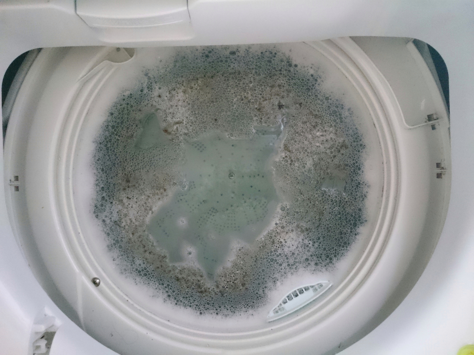 洗濯機の掃除にはどんな洗剤がいい？洗剤の選び方と掃除方法